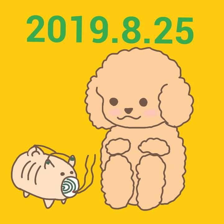 8ca2c431 43bd 4678 a1b4 323d4148bce5 1566734183045
