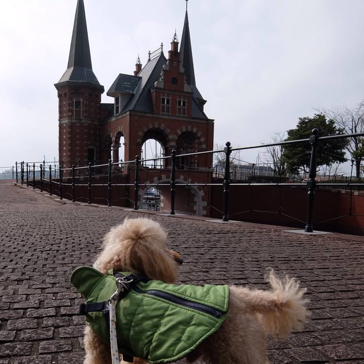 8ca31d83 53d1 4e36 94bf 933e3bdb7807 1579509875112