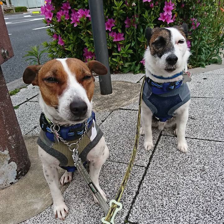 8ca31f90 df81 43db 96ed b85803144671 1587510944839