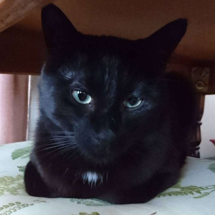 8ca32c1f a105 478a bfe1 ed03990bf122 1546392673667