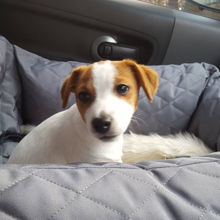 8ca32cdc 8826 4078 ba38 b5f6725f025c 1550132951545