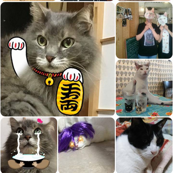 8ca340e5 a777 4673 84b0 f355071a5b85 1563181008361