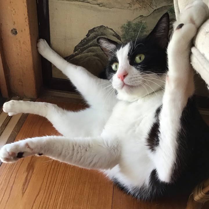 8ca3580d e74a 429f b9f3 bc93ac2da599 1755769134036