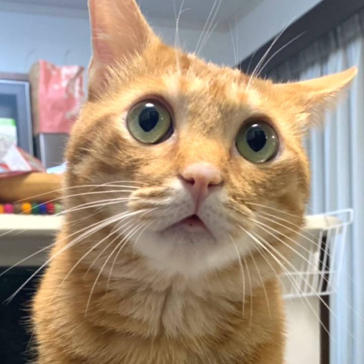 8ca3d038 2b33 40a4 b3a4 ff2ab0d176f5 1569278772287