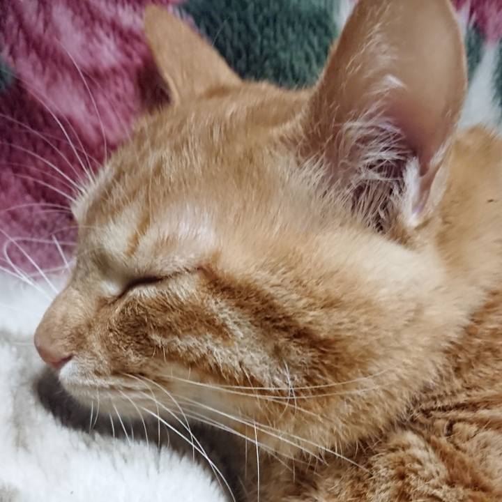 8ca3d352 5eb7 4a2e bf53 82506c99aecd 1639662420408