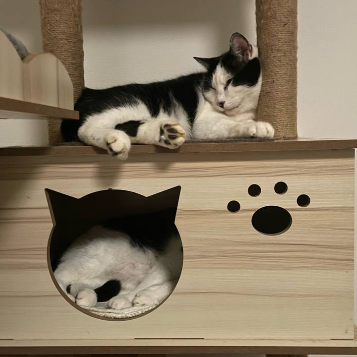 8ca3f37d e37a 432c b050 4448b6bdade0 1707392614572