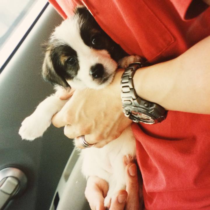 8ca3fcf8 65a8 48a6 8ac3 f17e555c1008 1533904864123