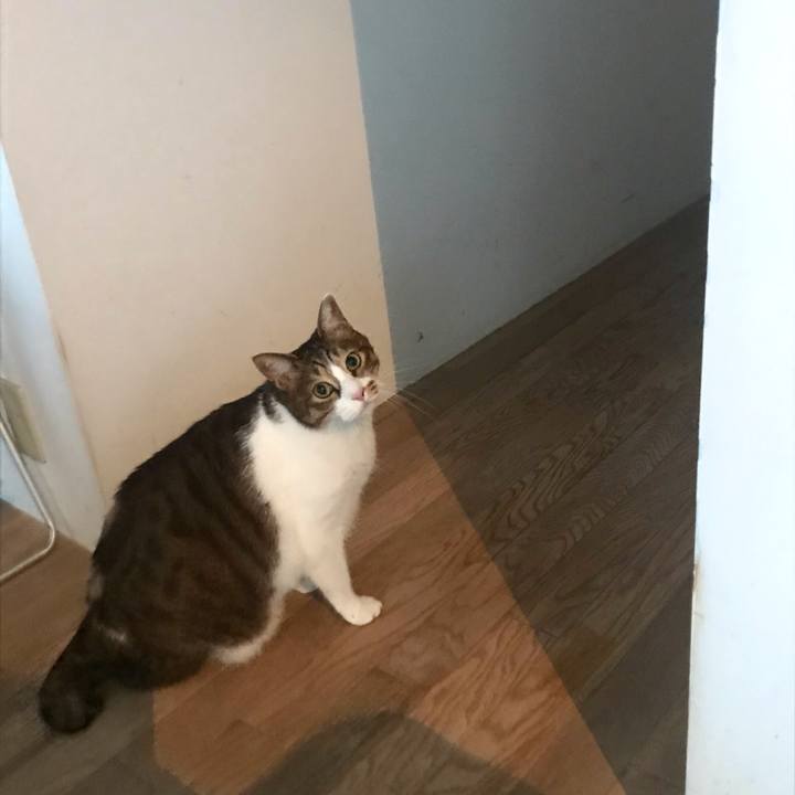 8ca415bd 6939 49a0 8a83 3b5622412727 1610249470282