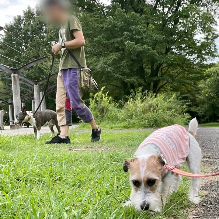 8ca4391d 034b 4607 8617 b127ad6d035e 1629540714955