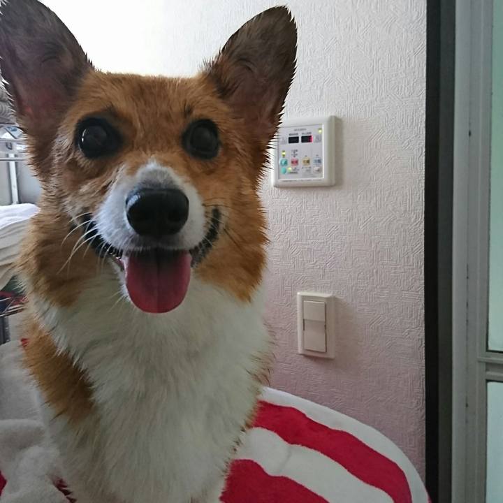 8ca43d9d 260b 435c 9295 09706a895ef1 1530417949121