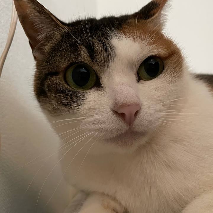 8ca46fc3 e4e9 4bcb 9339 b0164e7760f0 1680351352992