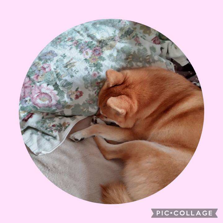 8ca481fd db87 40ba a9fd a09a897e0b7d 1701235090796