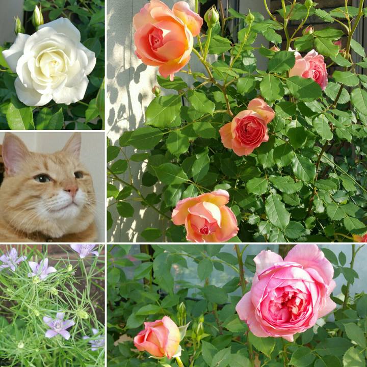 8ca48c7b a997 4138 b034 63f6881a90ea 1558651734486