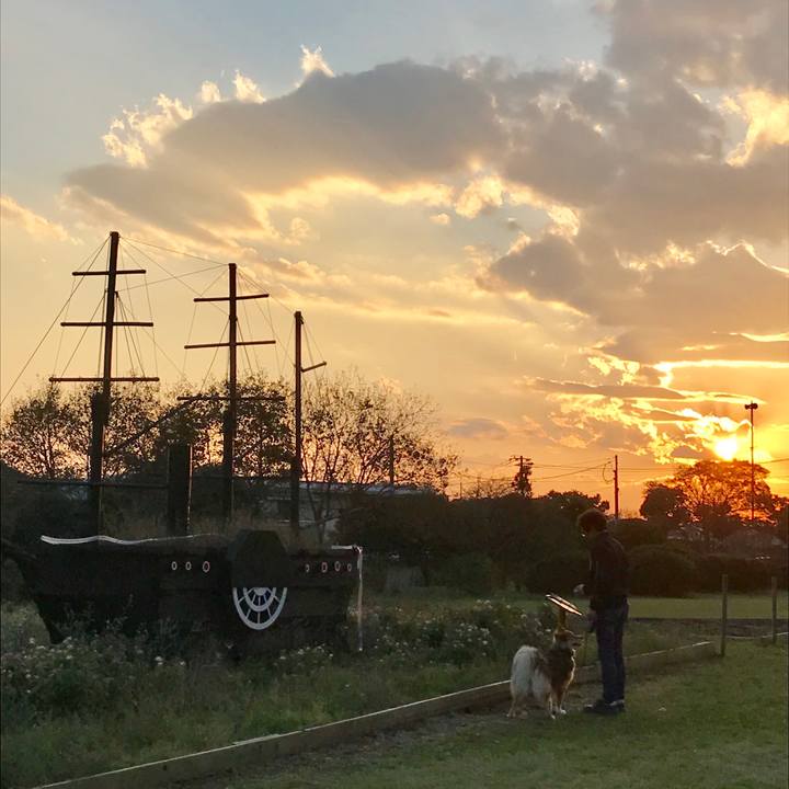 8ca49db2 b062 46c9 8b9d e6b35b1b5087 1509780459467