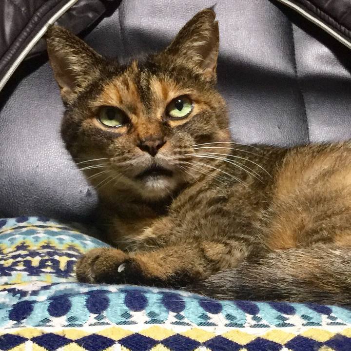 8ca4ac05 db06 40f6 a325 9d6ac5e00042 1558048122612