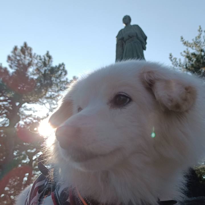 8ca4ec96 4200 4bb6 8e55 0e61b15f5e98 1736749202059