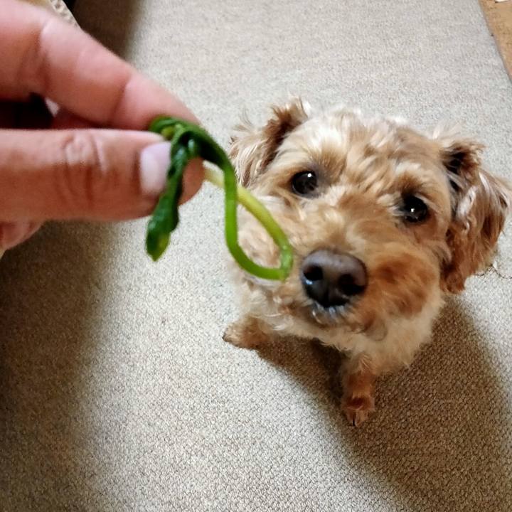 8ca4f288 0b72 4fca ab89 79517c5e9506 1587985012173