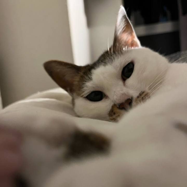 8ca500d5 dbc8 4527 b633 23b4be96ebaa 1695545748123