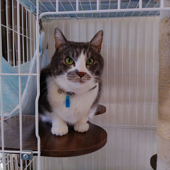 8ca504b2 da3d 4f95 b6b8 729d0b3939aa 1709974129609