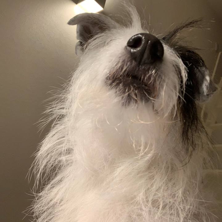 8ca50d53 1a90 4b95 bdb3 e70127fa2658 1640078358745