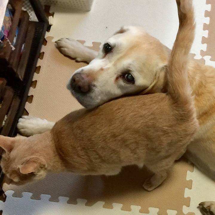 8ca51802 b46b 4337 b10b 4597b7cf290f 1522409504503