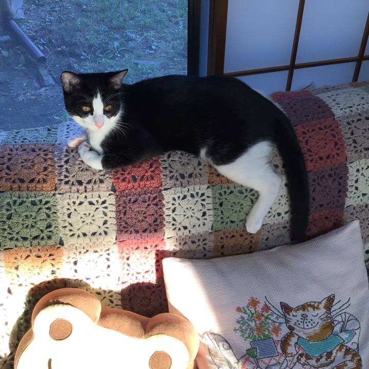 8ca52127 3efa 4399 b3f2 cbf13b305902 1634289001883