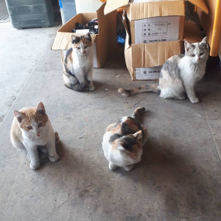 8ca523ab 3806 4307 af19 75c9114db4d0 1604740851456