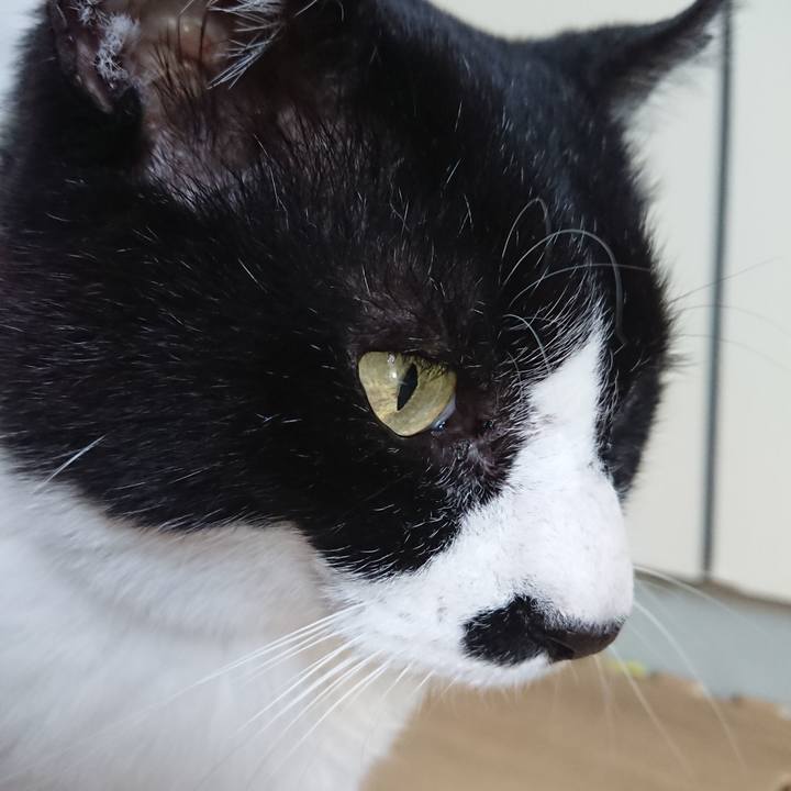 8ca5530a 91e2 4167 a7f8 1e2c48023bbe 1527390157897