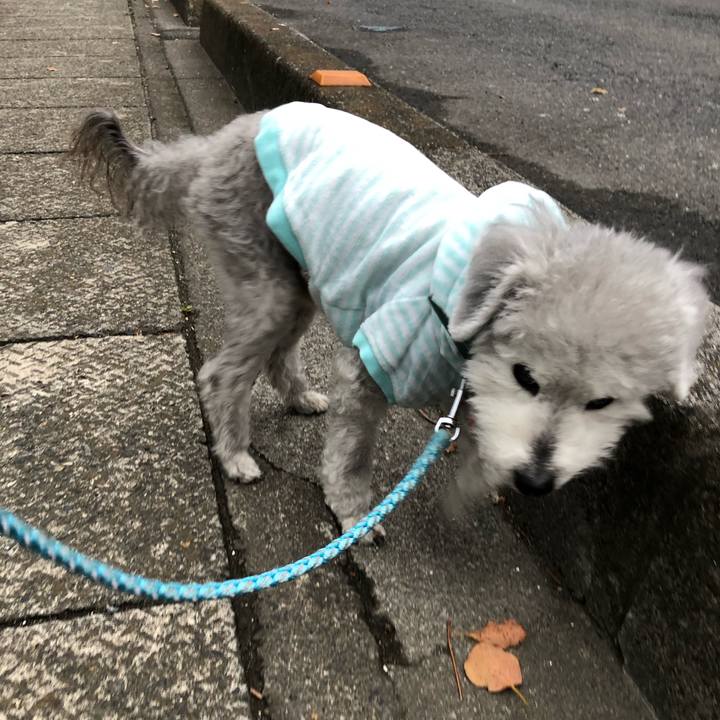 8ca561d9 76ca 4aec ac03 5038086813d1 1616976253916