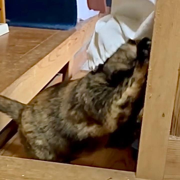 8ca573b4 24c7 4087 8eab fde1d1c7e78d 1768791711289