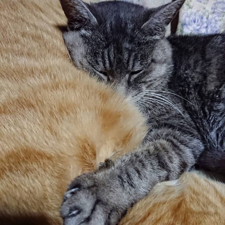 8ca5d3f1 793f 45da af9c d5423bb40303 1607944729598