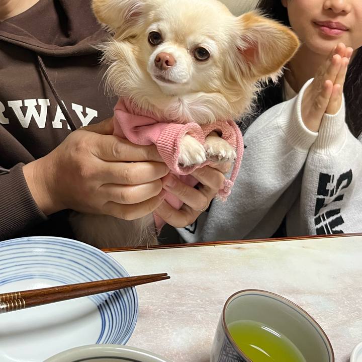 8ca5daa4 3ca4 4a5b a1ec 9f0d2bdf6b8c 1736169204472