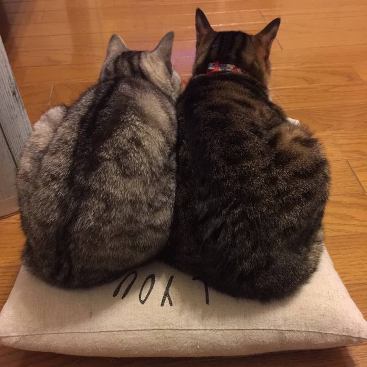 8ca5df8d ad8e 4b0c 8b83 0fc2922a17b0 1549207239892