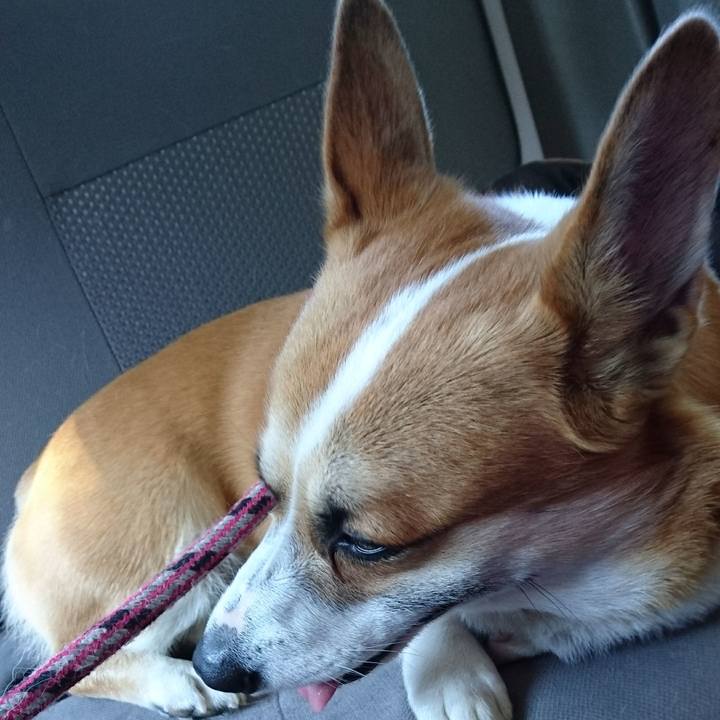 8ca5e6cb 7bf8 4765 bc48 6ef740c55108 1604969754777