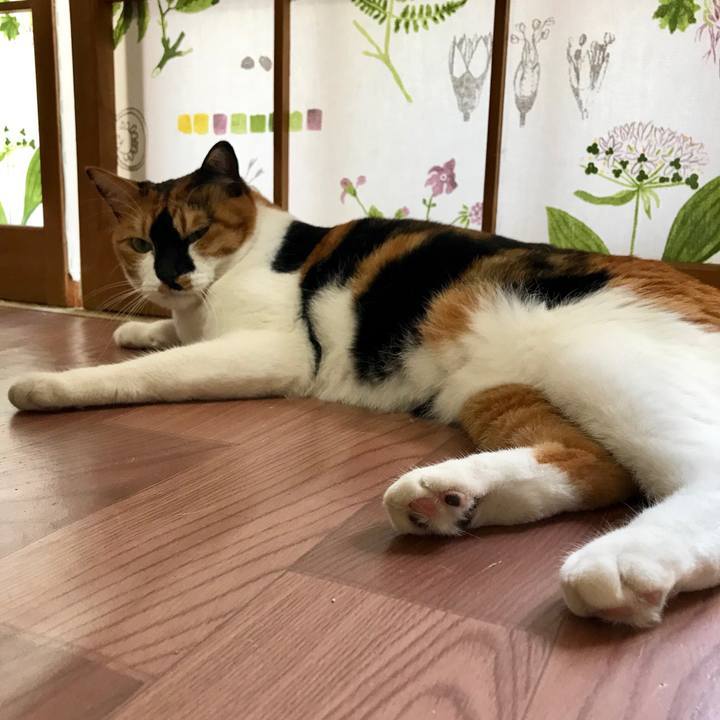 8ca5ec24 17d4 4163 9135 a8925b04dfc2 1535190127228