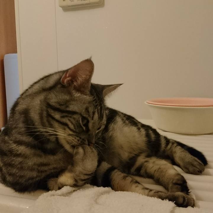 8ca5ed96 9d69 4740 9413 479fa45d0c53 1517210385803