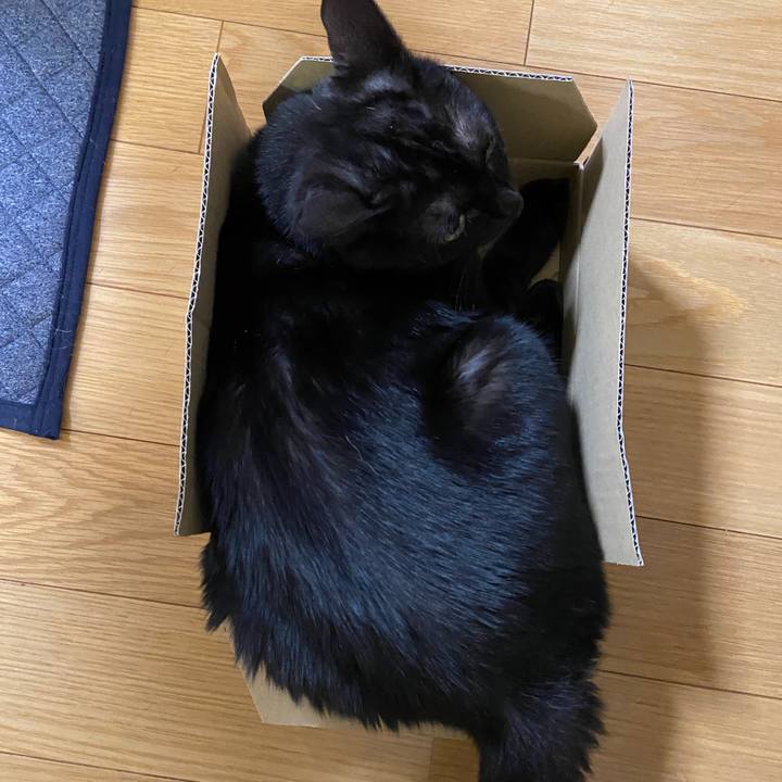 8ca66a05 8874 4d7b 9e7b 1b4eced3fee7 1630495100578