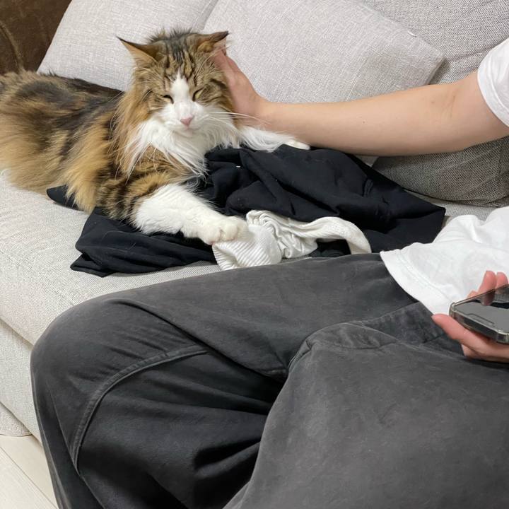 8ca66d93 c1e7 4c16 83bd 9f56f04daa11 1678789974469