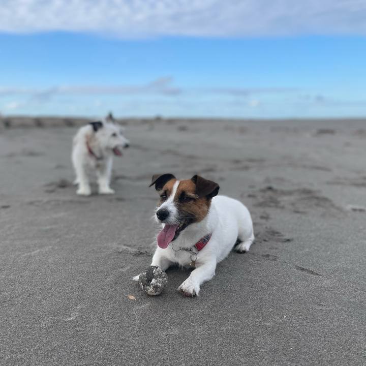 8ca674e2 1d8b 4a8b ade0 80401c2acd07 1759913045068