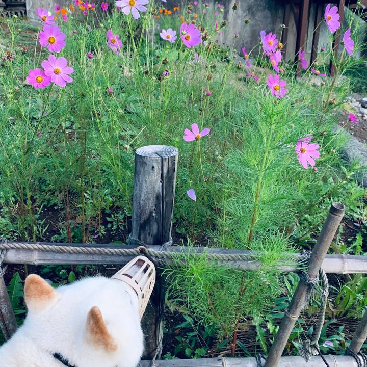 8ca676fc 6450 4b80 9554 e69c066d0bfd 1598045734200