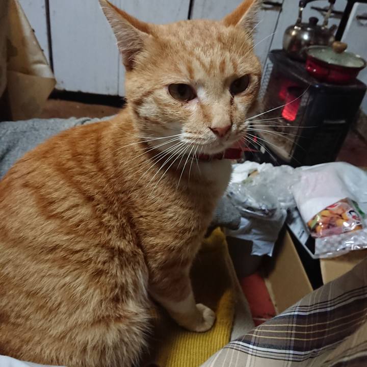 8ca6e1d6 7e52 4f68 aa60 2904d962d0ba 1571659103121