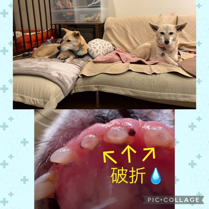 8ca6f8e6 8509 4724 9b44 a277c8098d95 1771236061874