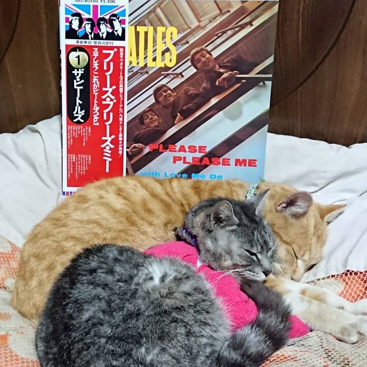 8ca6fe16 a609 4a5b 904b e28a3b42dc40 1586614828529