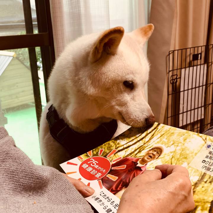 8ca7451c 5cbf 4072 a6a5 755781ce006c 1663550514688