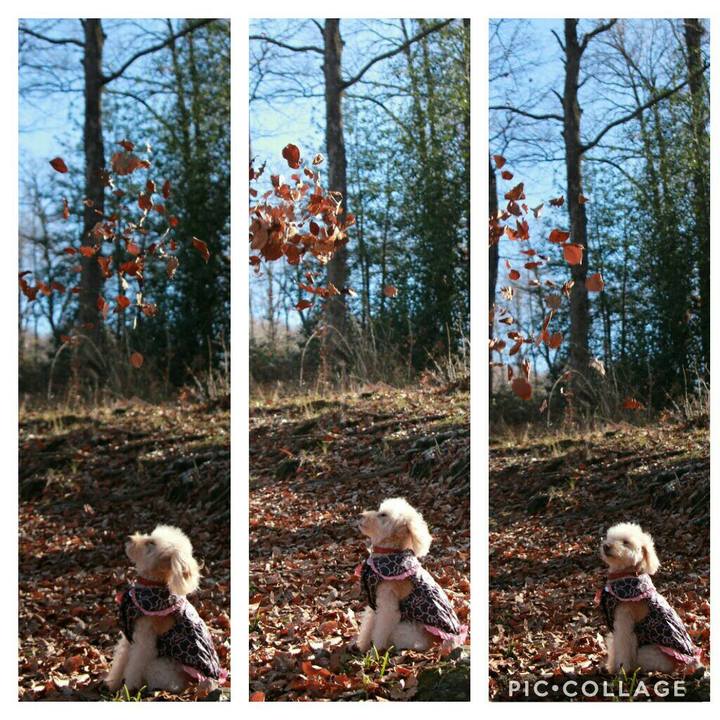 8ca74c22 e793 4c53 8554 68f67ef70fba 1581283659928