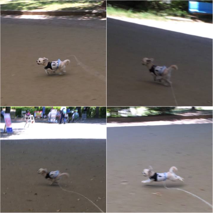 8ca7551a 24d2 4d96 b650 c952579bf809 1526879327706