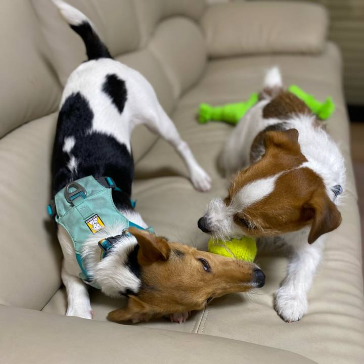 8ca76079 94c5 4ff4 9099 69d03ae61cd3 1752015444819