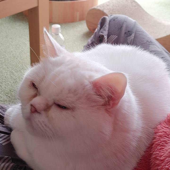 8ca76e97 0a0c 48d1 ab97 8bbc82449d33 1683069841459