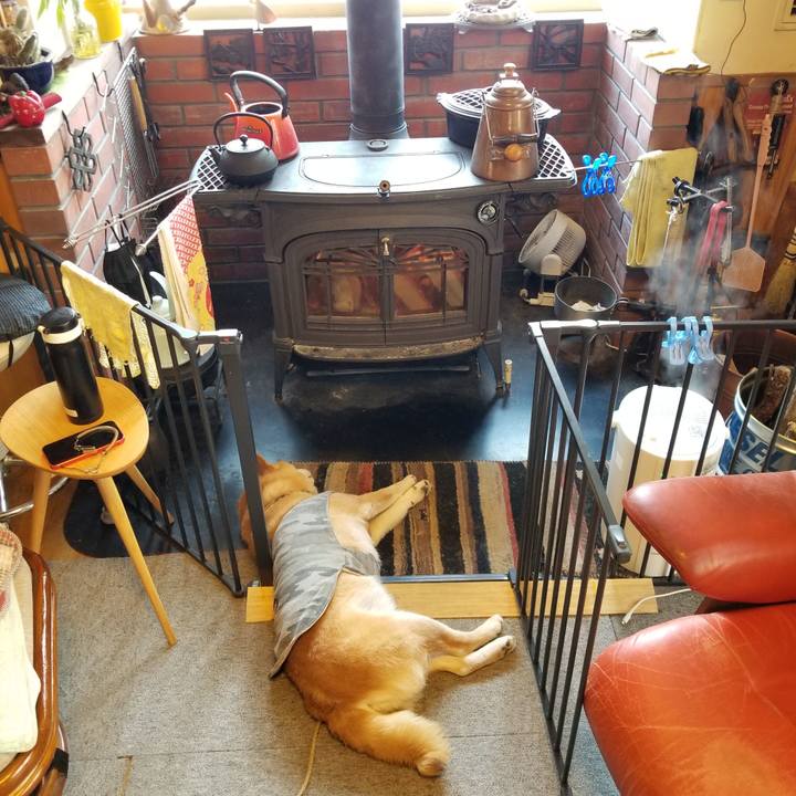 8ca7882a 5ef1 4a62 9e7a 4029d39ddeb9 1645832620646