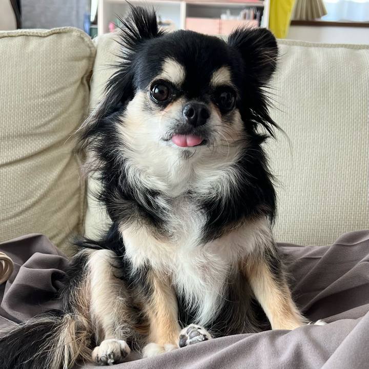 8ca7b329 2729 4929 a290 a8674a05c143 1699248490736